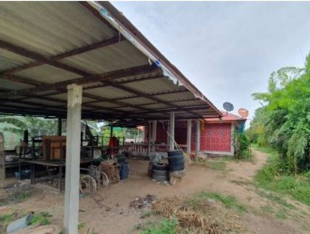 บ้านเดี่ยว กำแพงเพชร ไทรงาม หนองทอง 654160