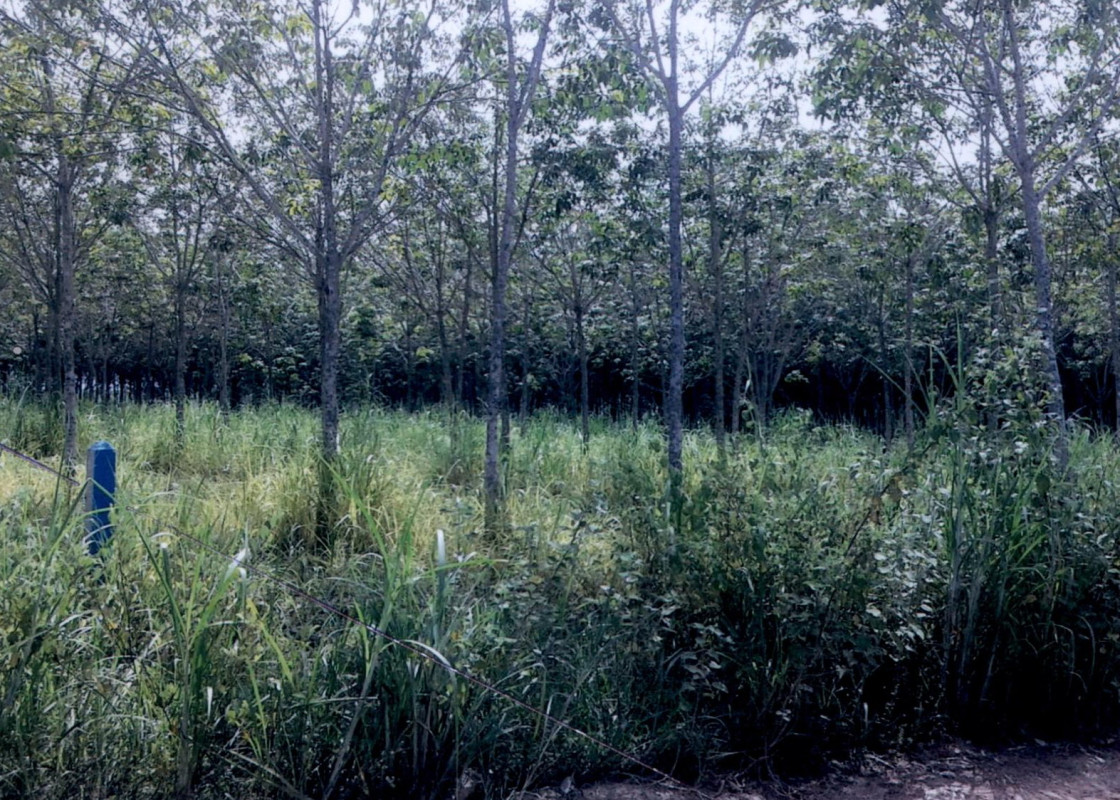 บ้านเดี่ยว อุดรธานี ไชยวาน คำเลาะ 958960