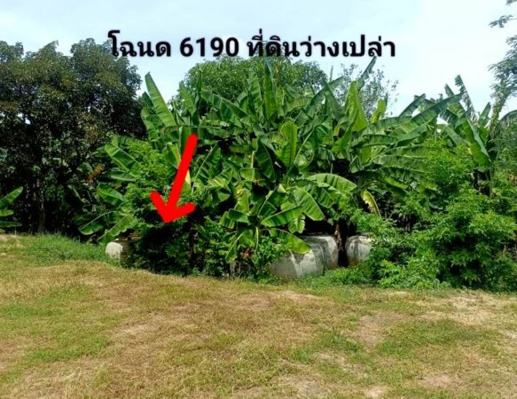 ที่ดินเปล่า มหาสารคาม บรบือ โนนแดง 45000