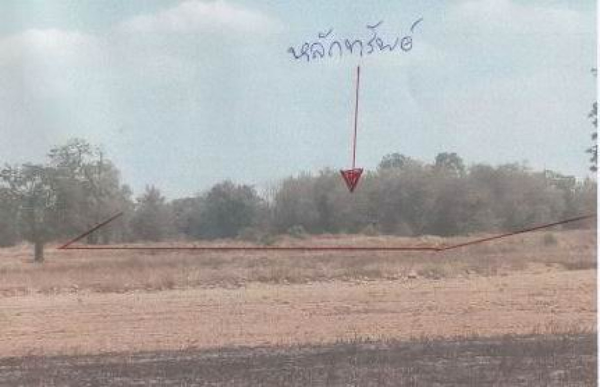 ที่ดินเปล่า มหาสารคาม กันทรวิชัย มะค่า 1018900