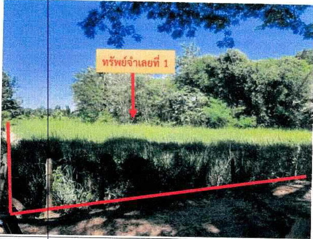 ที่ดินเปล่า หนองคาย ท่าบ่อ บ้านว่าน 420680