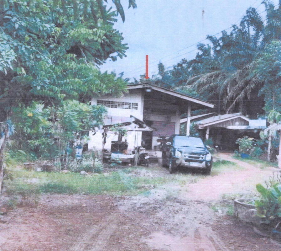 บ้านเดี่ยว พัทลุง ป่าบอน ทุ่งนารี 1336202