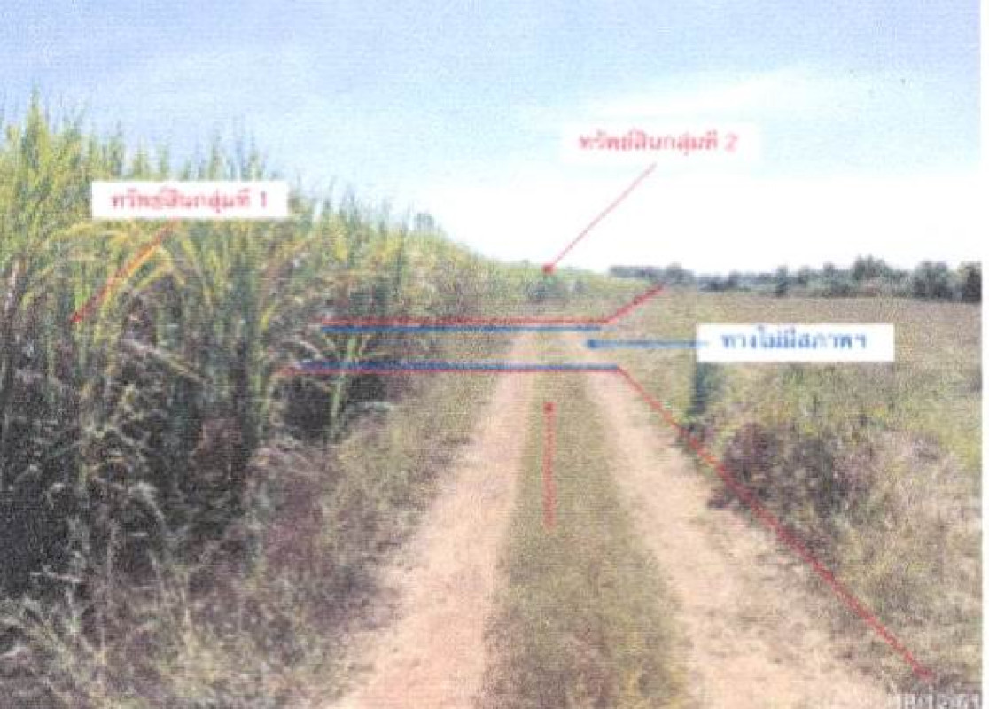ที่ดินเปล่า เพชรบูรณ์ วิเชียรบุรี บ่อรัง 611500