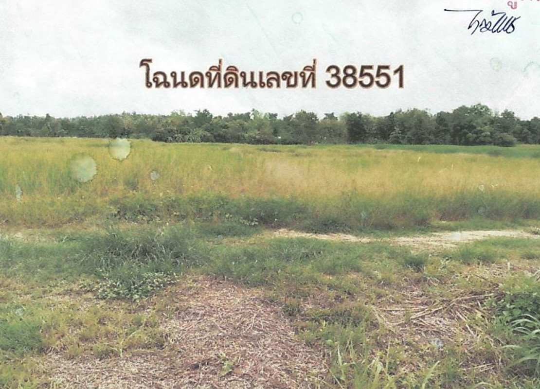 ที่ดินเปล่า พะเยา เชียงคำ อ่างทอง 493600