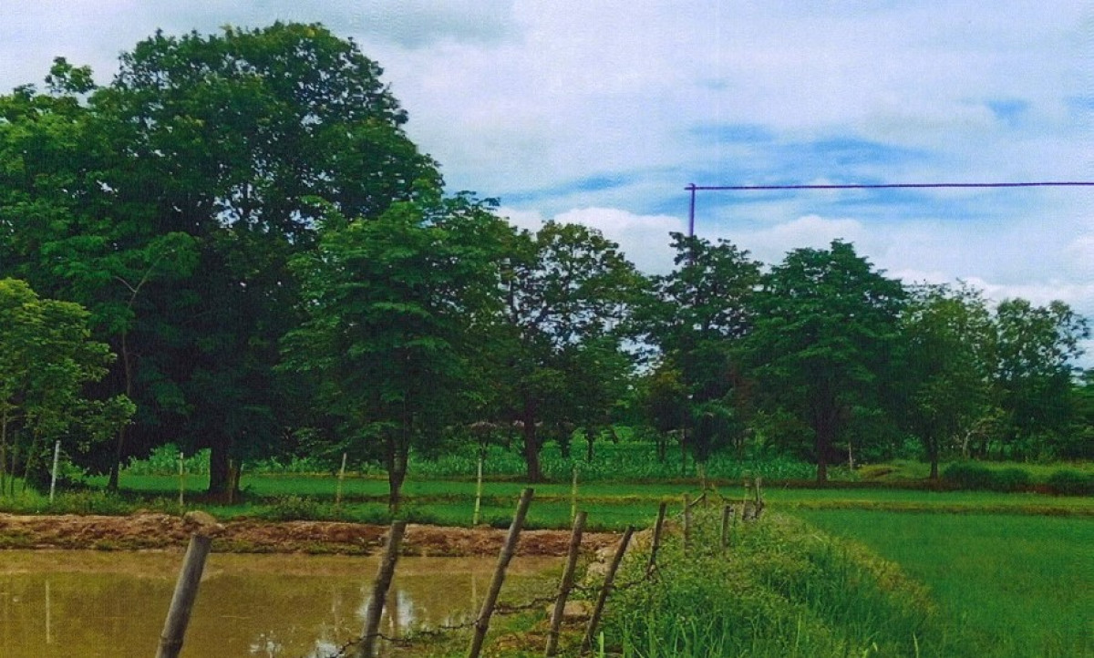 Residential land/lot Nong Bua Lam Phu Na Klang Kao Kloi 119250