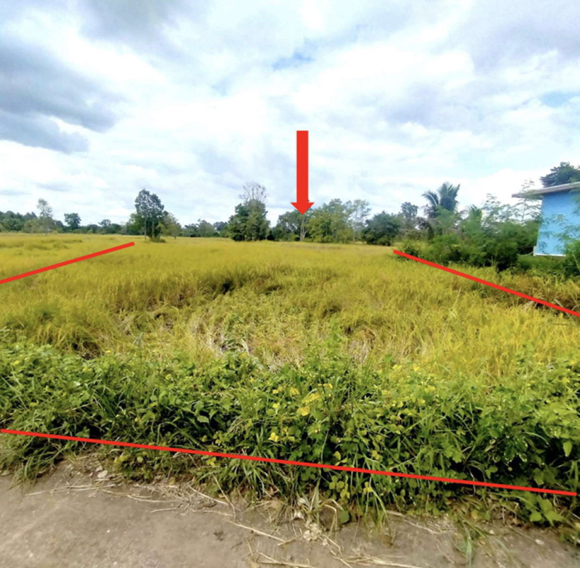 ที่ดินเปล่า ศรีสะเกษ กันทรลักษ์ หนองหญ้าลาด 108680