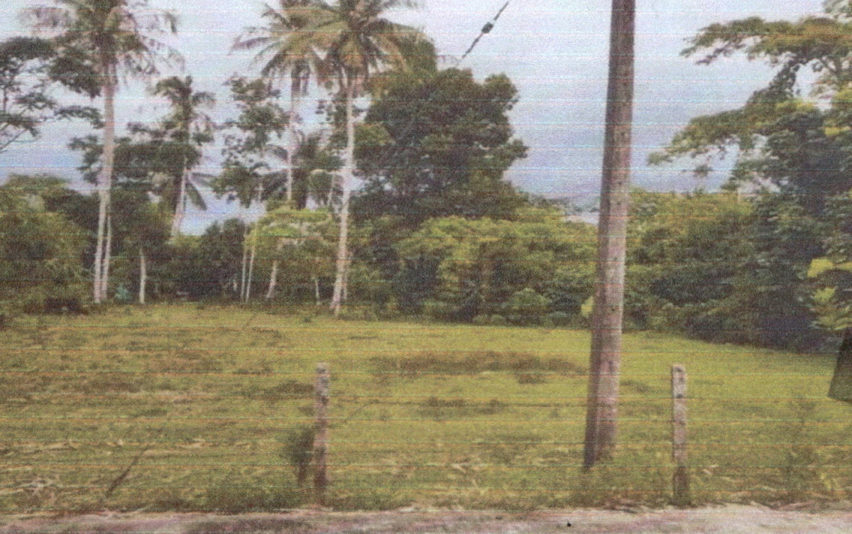 Residential land/lot Phatthalung Mueang Phatthalung Na Thom 335335