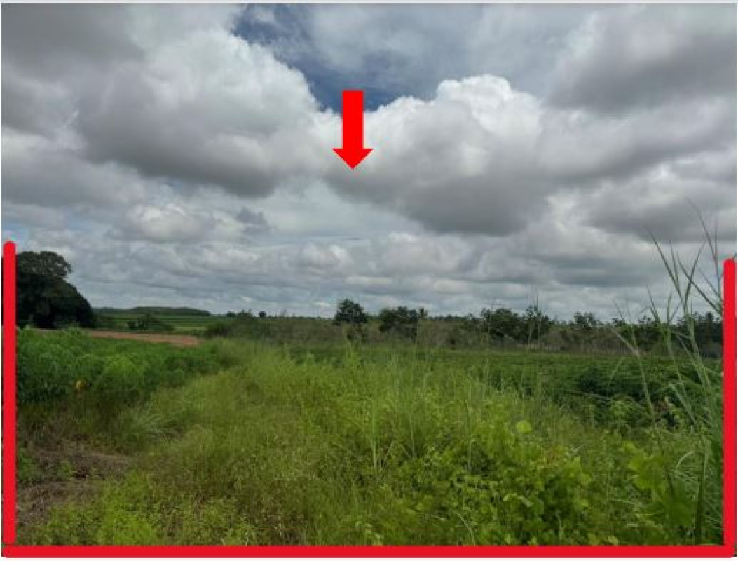 ที่ดินเปล่า อุดรธานี กุมภวาปี เวียงคำ 1026450