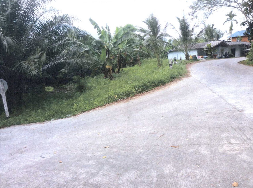 ที่ดินเปล่า    3875625