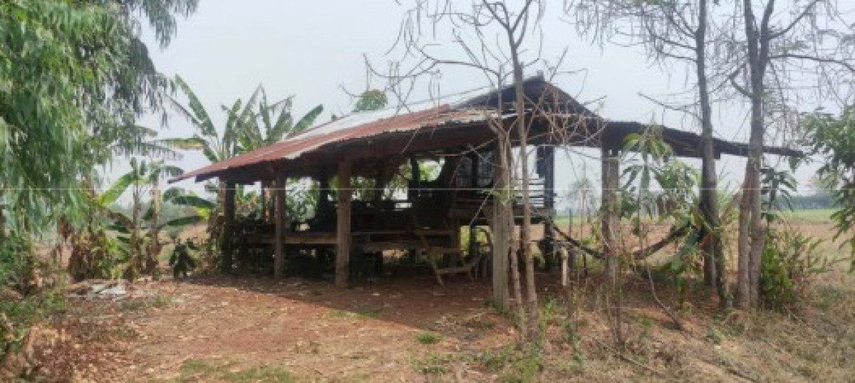 บ้านเดี่ยว สกลนคร สว่างแดนดิน คำสะอาด 318410