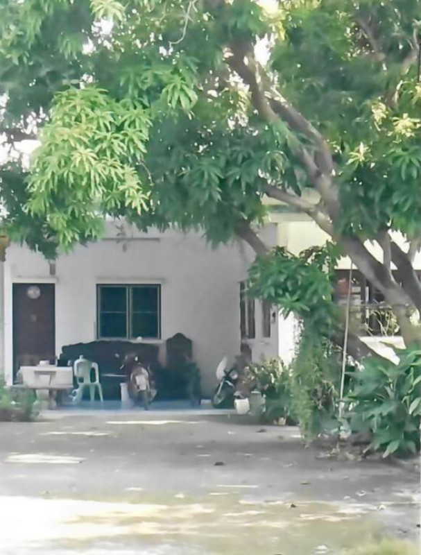 บ้านเดี่ยว นครปฐม สามพราน ทรงคนอง 2423102