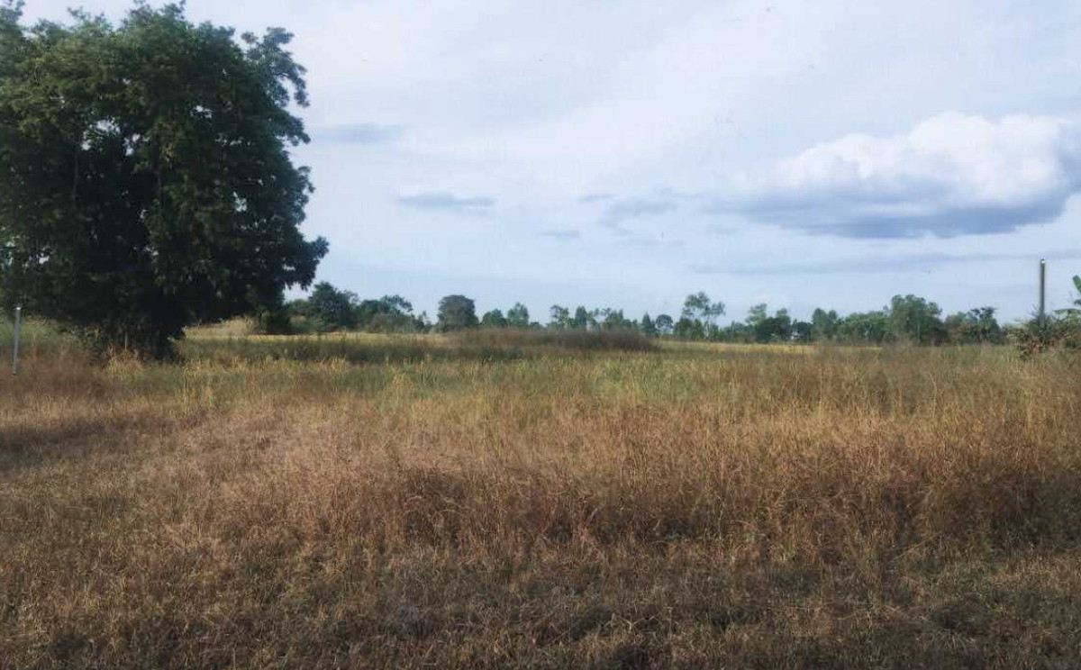 Residential land/lot Maha Sarakham Chiang Yuen Nong Son 528088