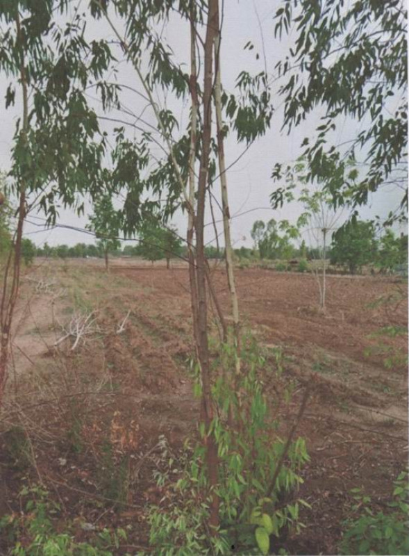 Residential land/lot Sakon Nakhon Wanon Niwat Wanon Niwat 186810