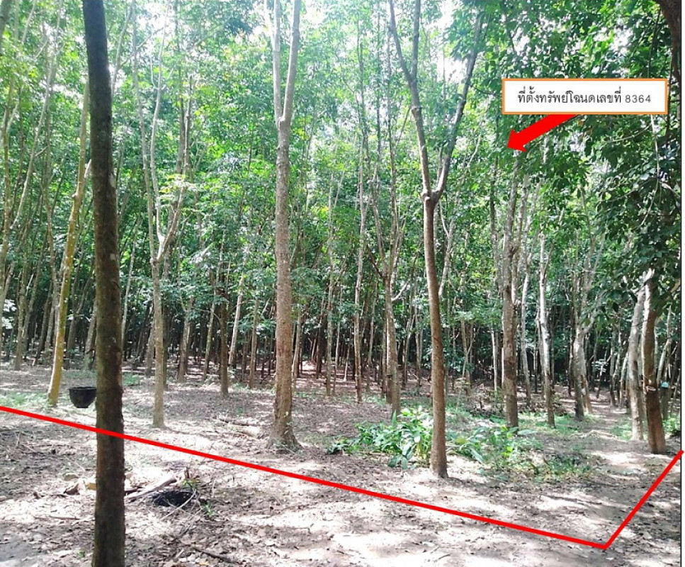 ที่ดินเปล่า ศรีสะเกษ ไพรบึง สุขสวัสดิ์ 85674