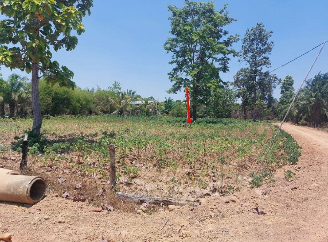 ที่ดินเปล่า ศรีสะเกษ โนนคูณ บก 97328