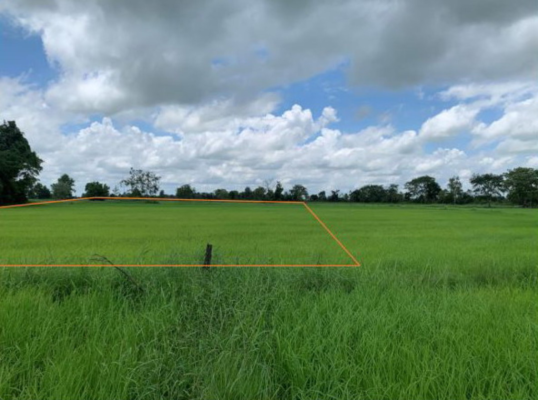Residential land/lot Maha Sarakham Mueang Maha Sarakham Khewa 480000