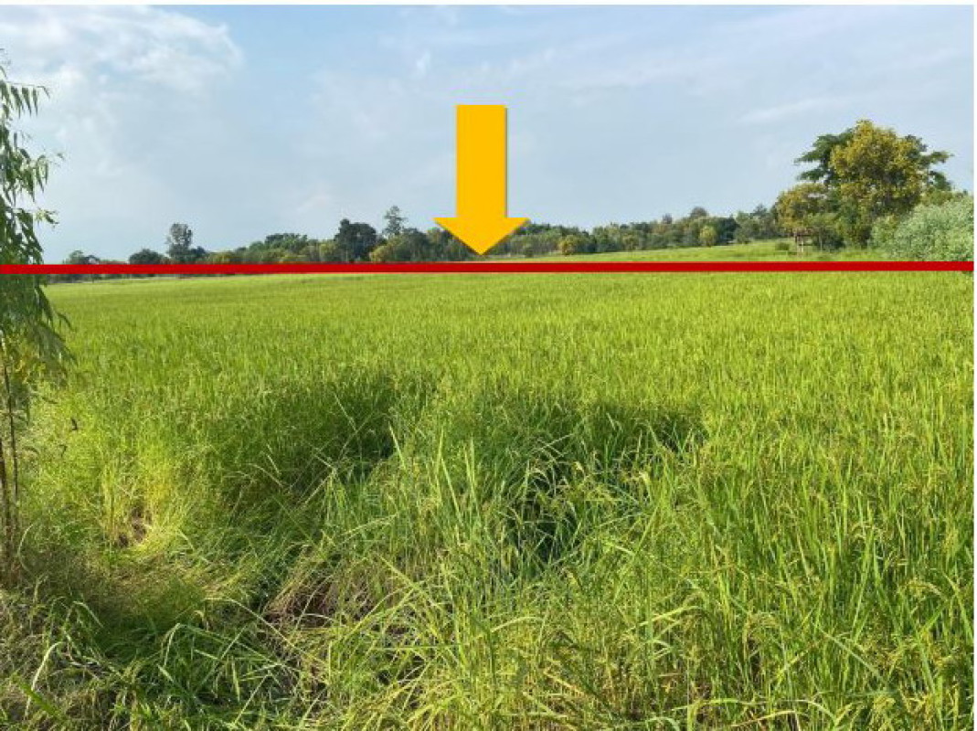 Residential land/lot Maha Sarakham Yang Sisurat Kham Rian 1642890