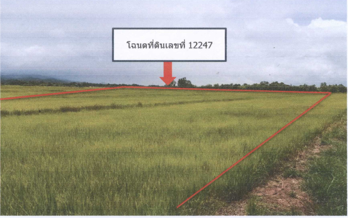 ที่ดินเปล่า พะเยา จุน ทุ่งรวงทอง 1214700