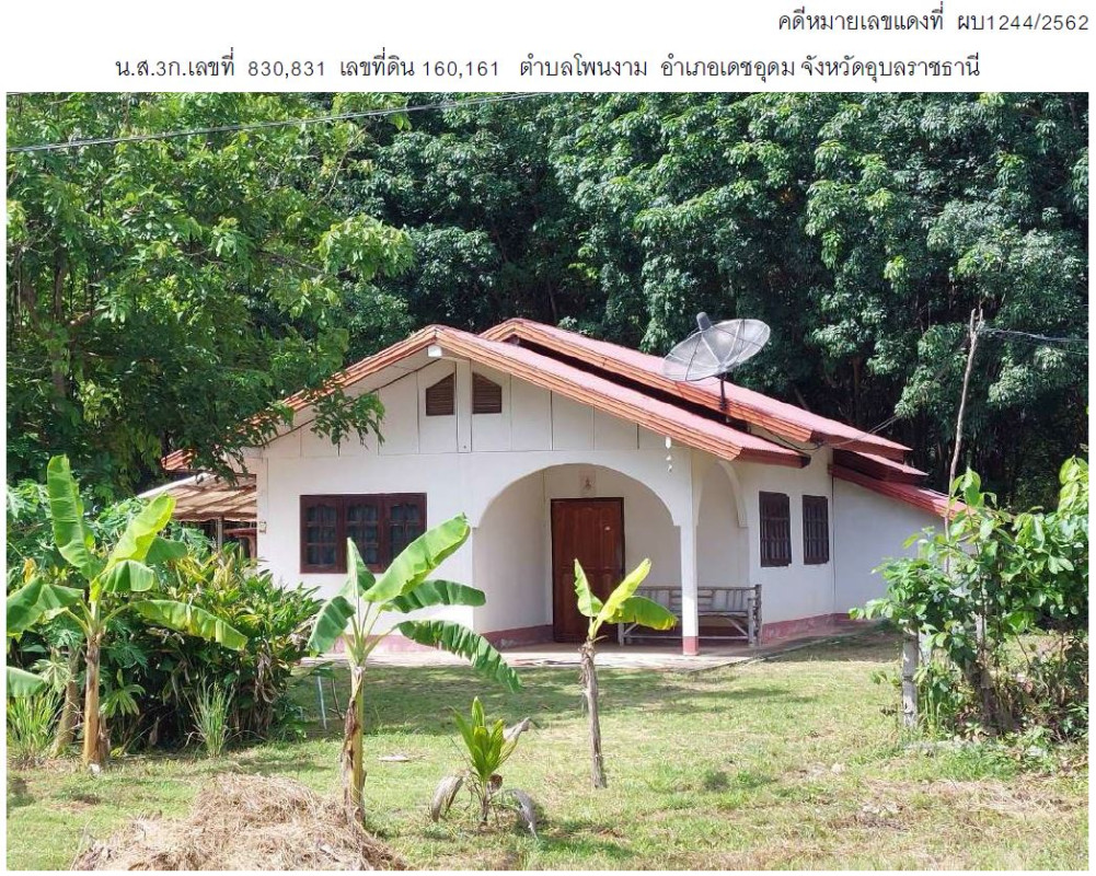 บ้านเดี่ยว อุบลราชธานี เดชอุดม โพนงาม 867810