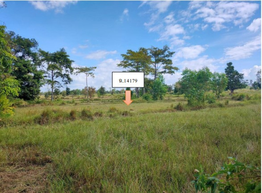 Residential land/lot Ubon Ratchathani Phibun Mangsahan Don Chik 1958400
