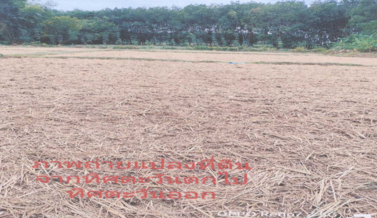 ที่ดินเปล่า พะเยา เชียงคำ ร่มเย็น 120000