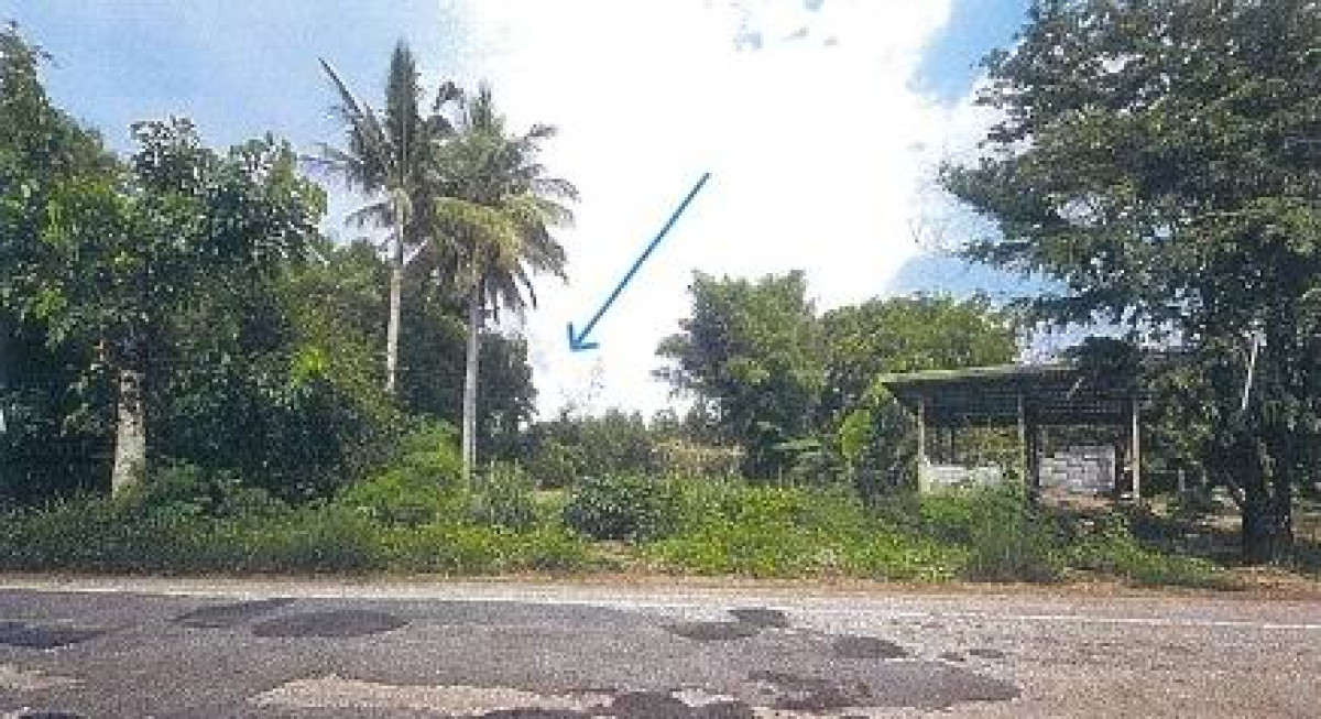 ที่ดินเปล่า สระแก้ว วัฒนานคร ช่องกุ่ม 178560