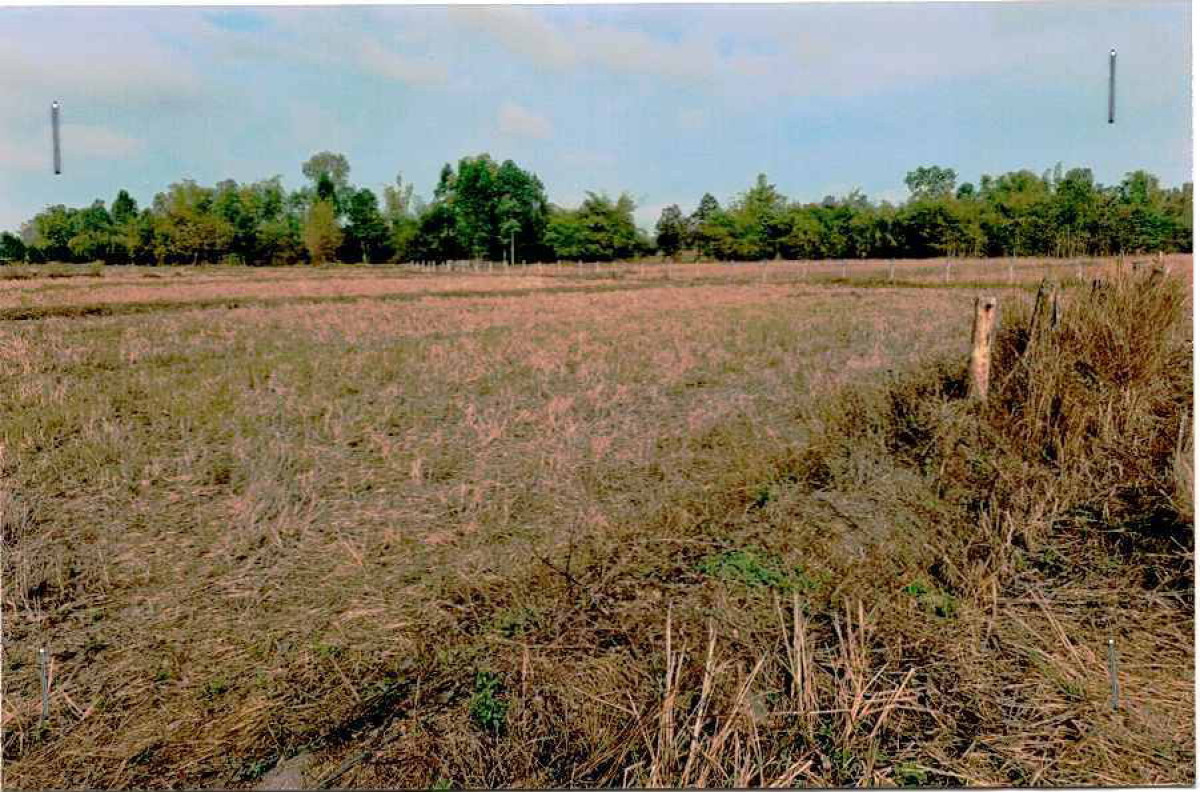 ที่ดินเปล่า หนองคาย โพนพิสัย ชุมช้าง 260000