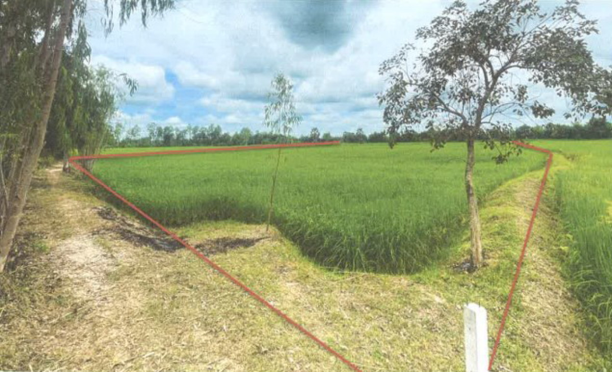 ที่ดินเปล่า มหาสารคาม วาปีปทุม หัวเรือ 518200