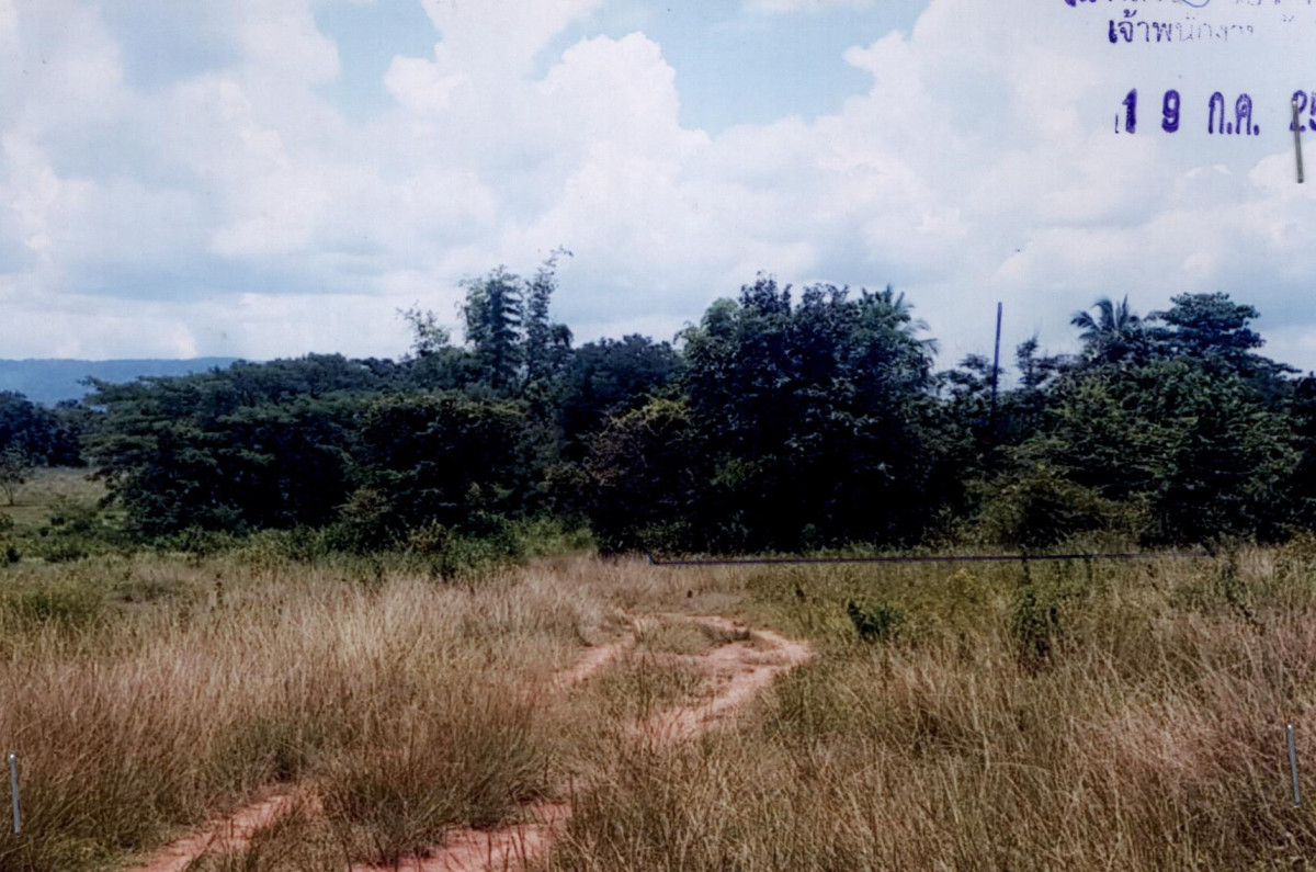 Residential land/lot Nong Bua Lam Phu Mueang Nong Bua Lam Phu Nong Bua 20250