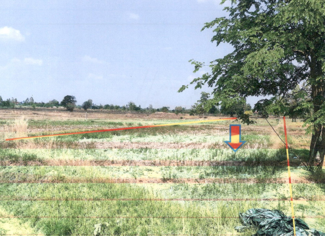 ที่ดินเปล่า กาฬสินธุ์ เมืองกาฬสินธุ์ ไผ่ 234000