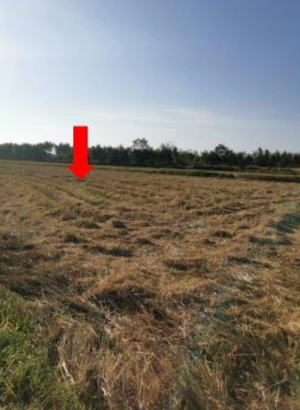 ที่ดินเปล่า อุดรธานี หนองหาน หนองไผ่ 994200