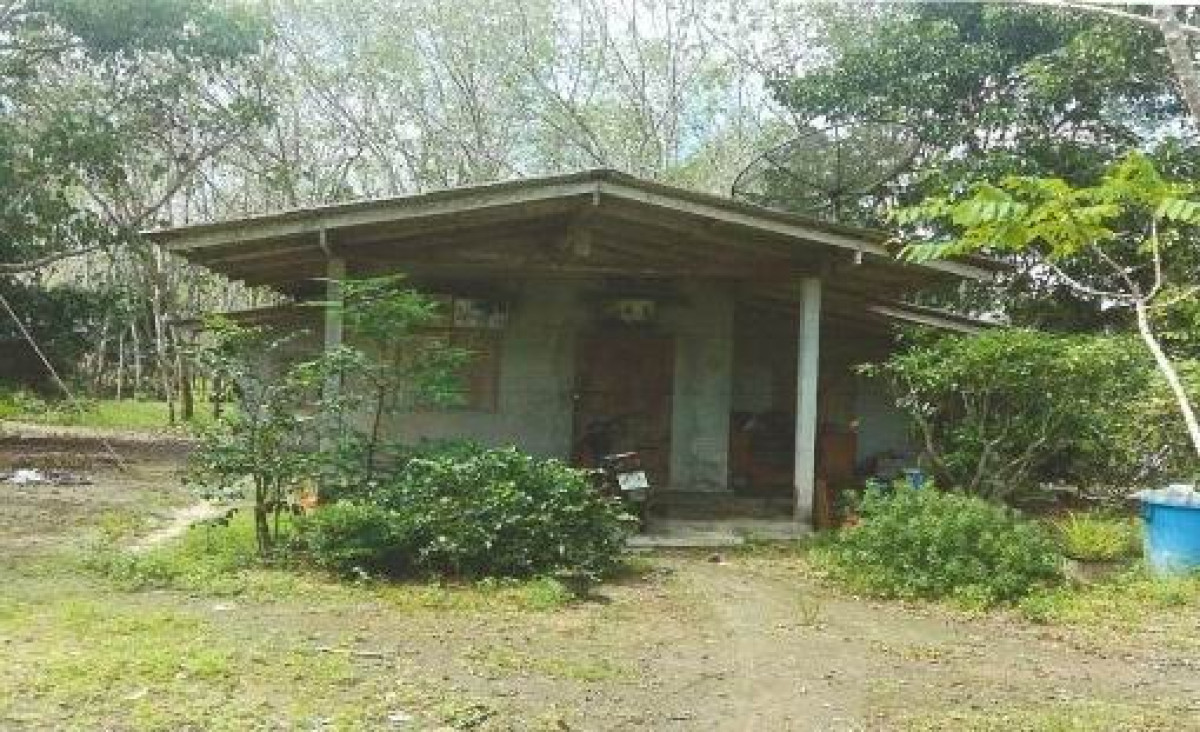 บ้านเดี่ยว นครศรีธรรมราช ทุ่งใหญ่ ปริก 637720