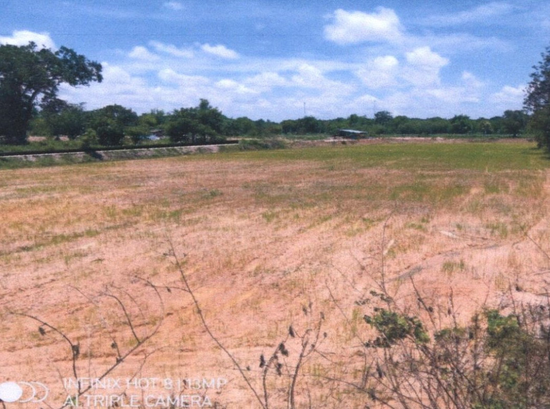 ที่ดินเปล่า อุบลราชธานี ม่วงสามสิบ ยางโยภาพ 163514