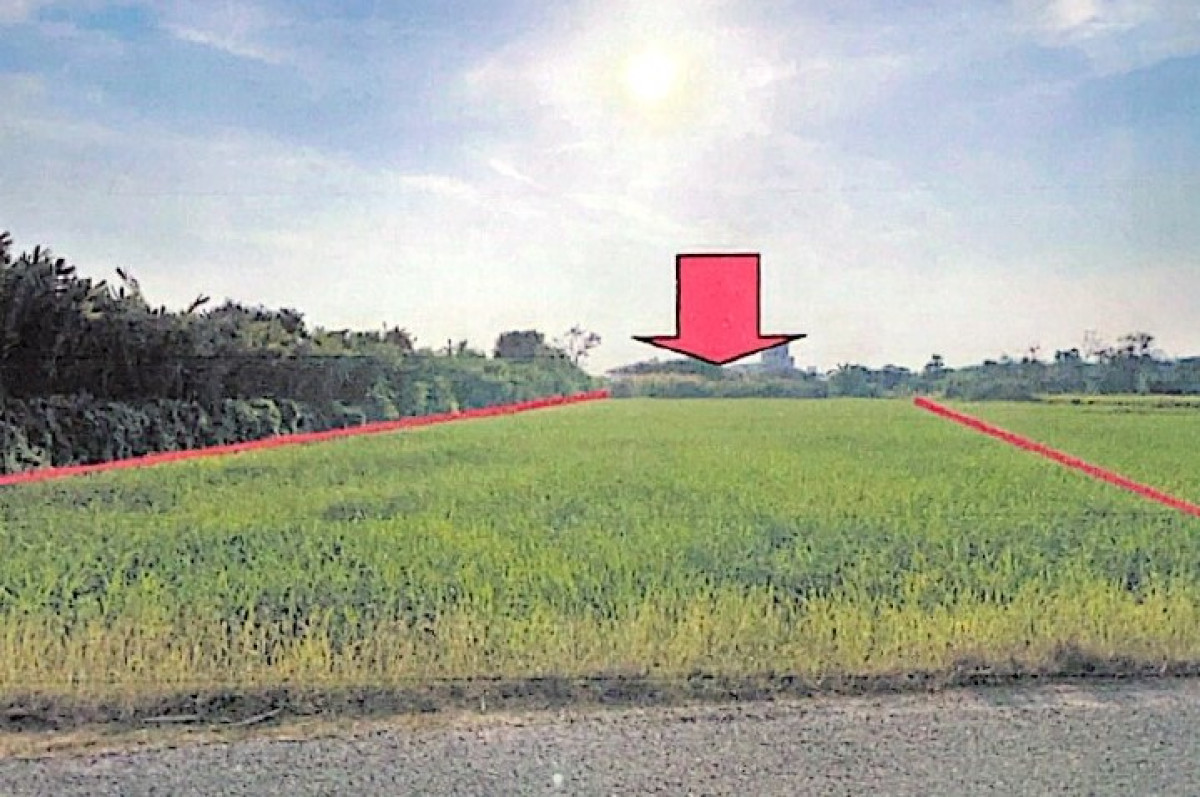 ที่ดินเปล่า ราชบุรี โพธาราม หนองโพ 642600