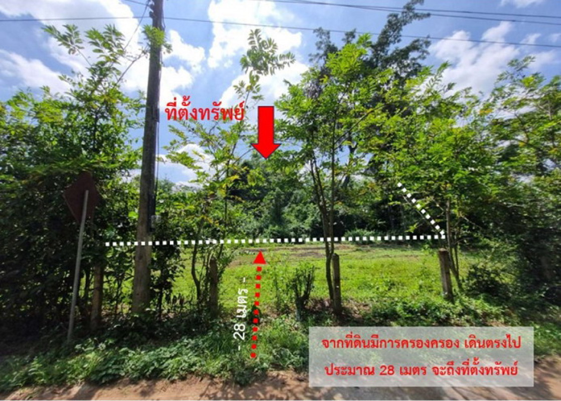 ที่ดินเปล่า ศรีสะเกษ ขุนหาญ พราน 68800
