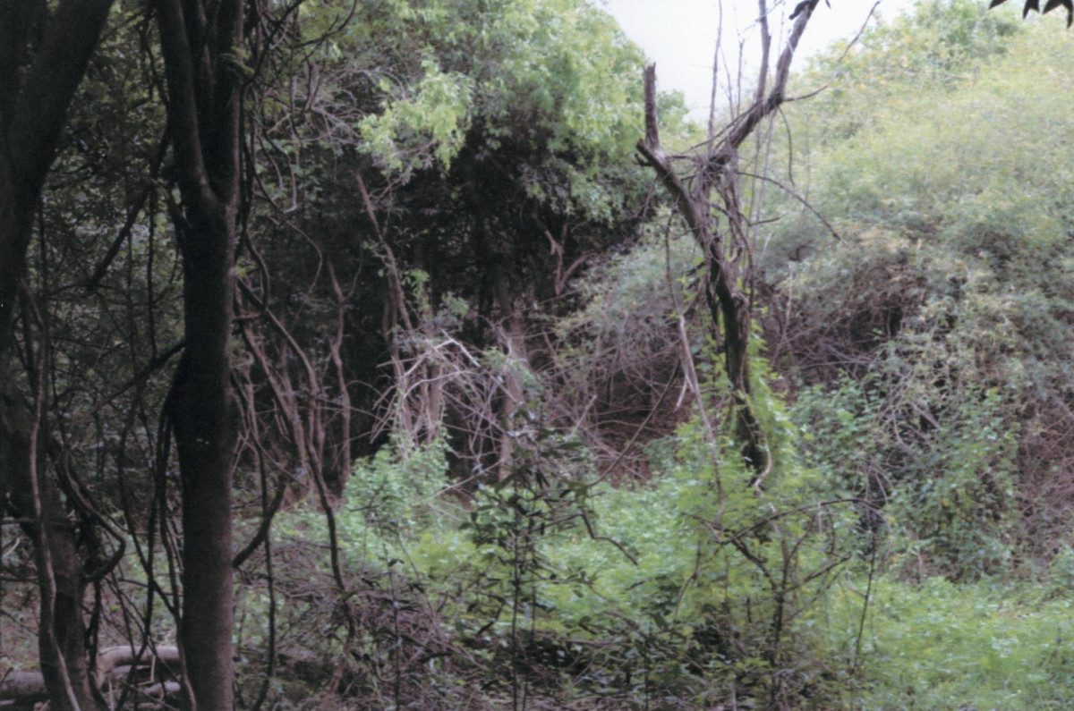 Residential land/lot Sakon Nakhon Ban Muang Dong Nuea 143000