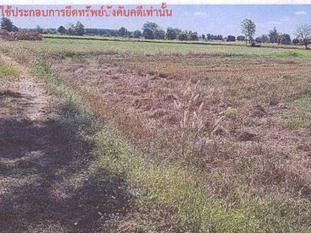 ที่ดินเปล่า มหาสารคาม เชียงยืน หนองซอน 2320060