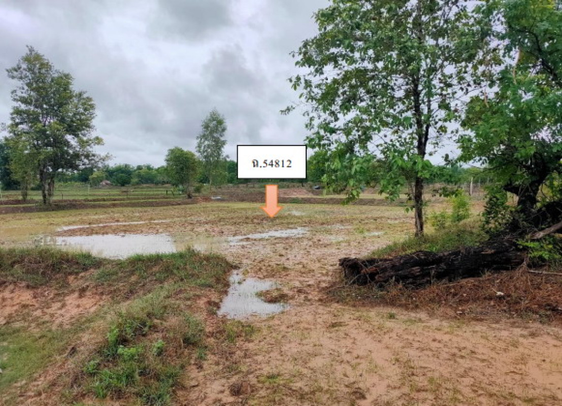 ที่ดินเปล่า อุบลราชธานี ตระการพืชผล เซเป็ด 135900