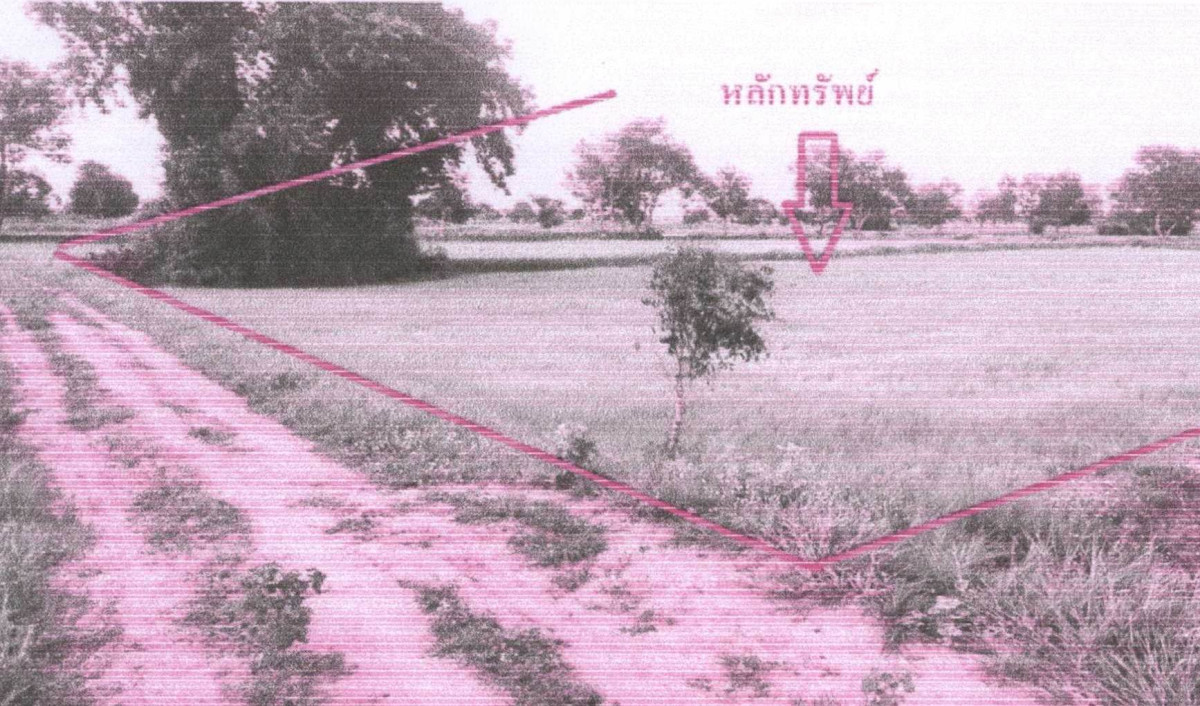 Residential land/lot Maha Sarakham Yang Sisurat Yang Sisurat 204660