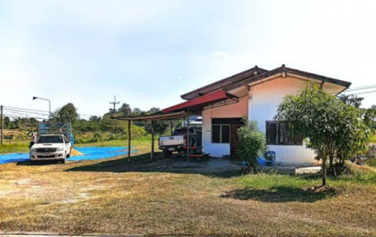บ้านเดี่ยว กาฬสินธุ์ กุฉินารายณ์ สามขา 1238000