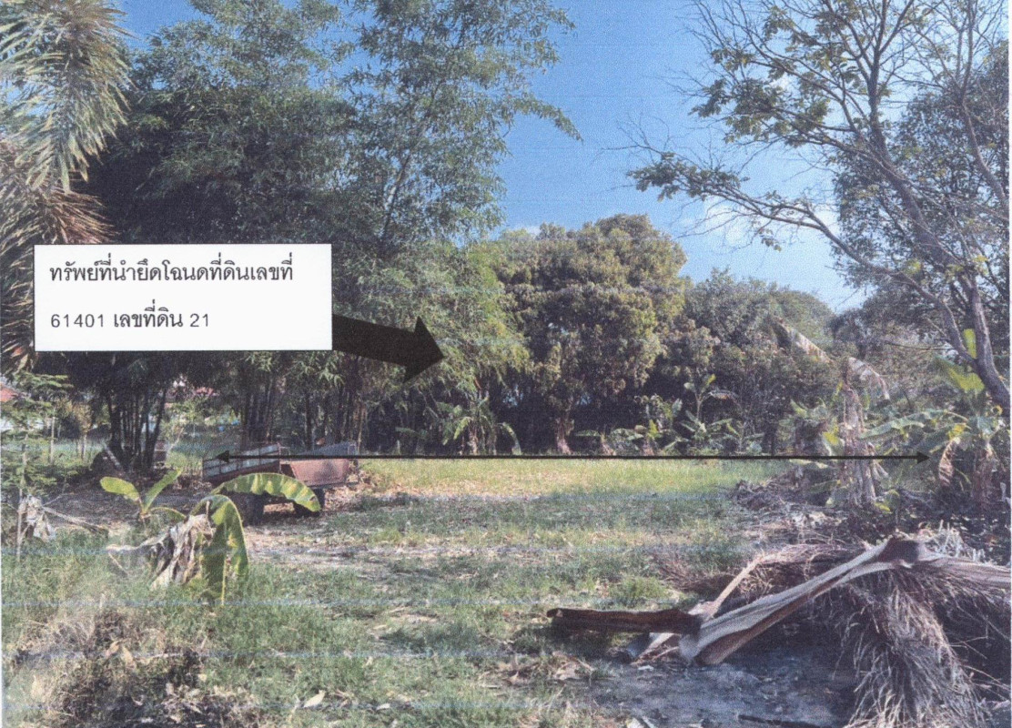 ที่ดินเปล่า สุรินทร์ รัตนบุรี ไผ่ 114100