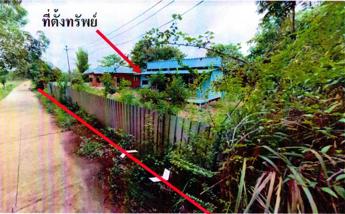 บ้านเดี่ยว บึงกาฬ ศรีวิไล นาสิงห์ 731932