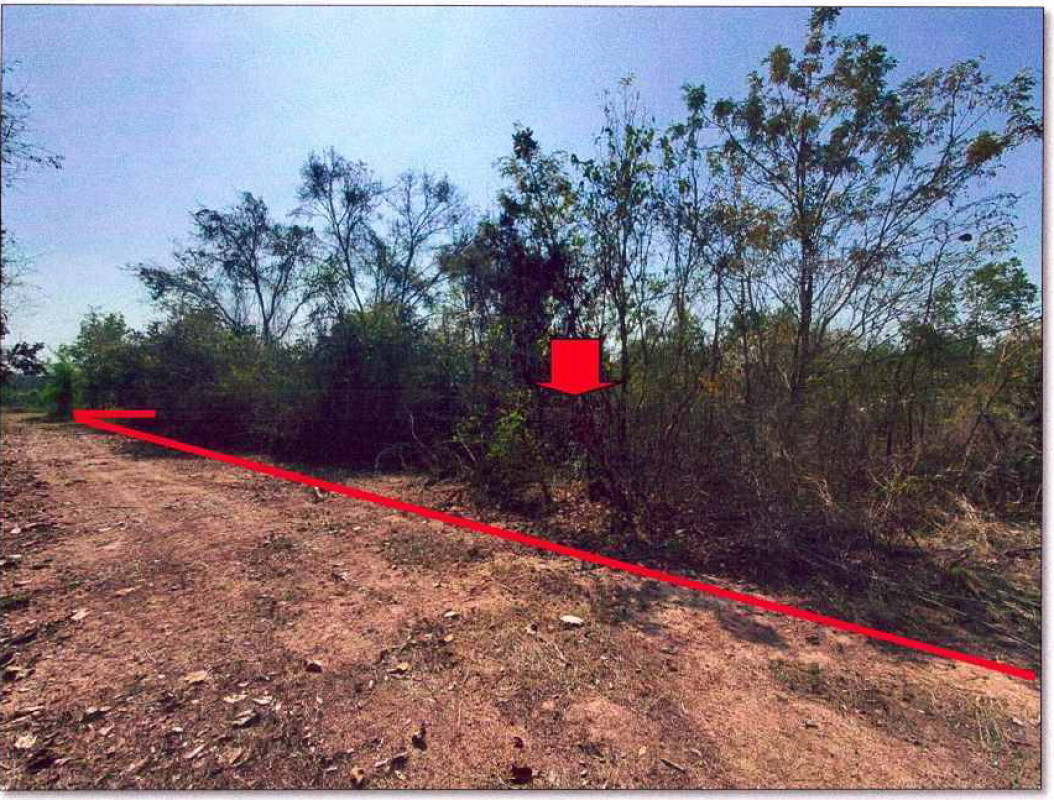 Residential land/lot Nong Khai Mueang Nong Khai Pakho 360000