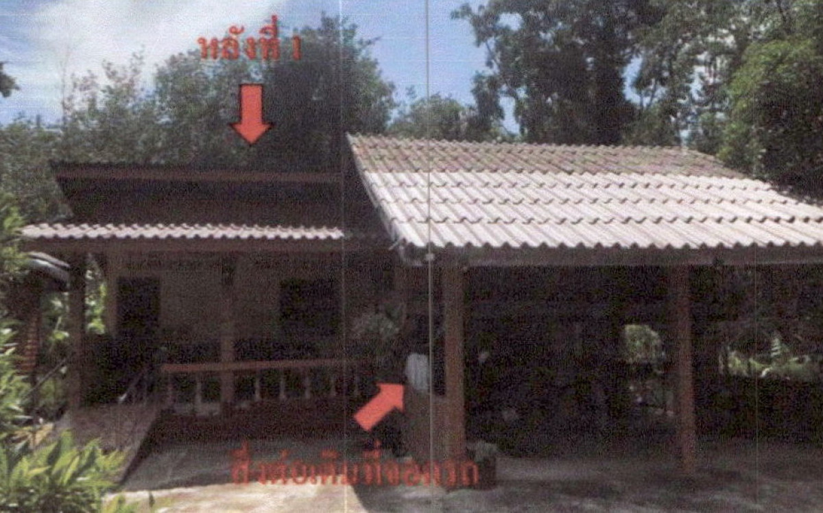 บ้านเดี่ยว พัทลุง ป่าพะยอม ป่าพะยอม 743878