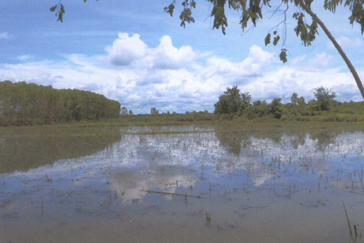 ที่ดินเปล่า สกลนคร บ้านม่วง ดงเหนือ 109440