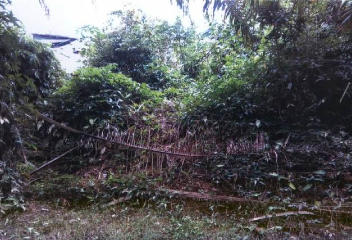 ที่ดินเปล่า พังงา ตะกั่วป่า ตะกั่วป่า 172600