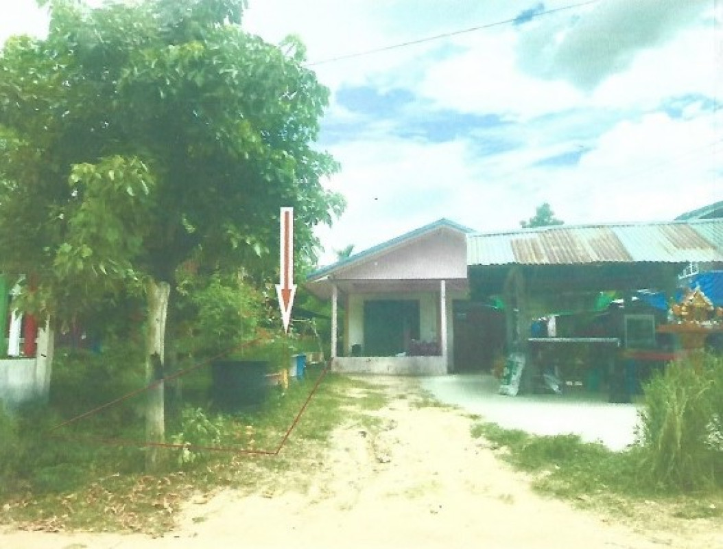 ที่ดินเปล่า บุรีรัมย์ นาโพธิ์ ดอนกอก 16740