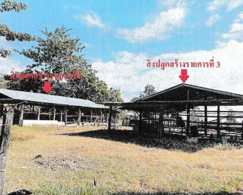 บ้านเดี่ยว มหาสารคาม โกสุมพิสัย เขวาไร่ 1289500