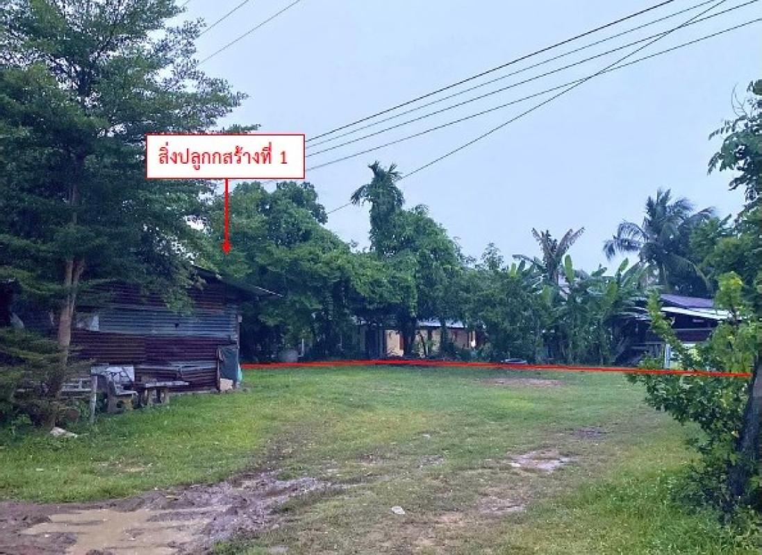 บ้านเดี่ยว บุรีรัมย์ ประโคนชัย โคกตูม 123480