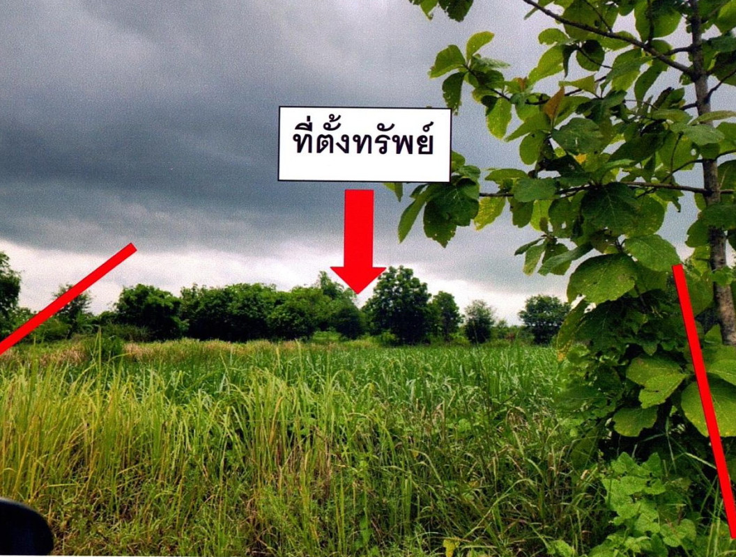 ที่ดินเปล่า ขอนแก่น ชุมแพ หนองเขียด 1271886
